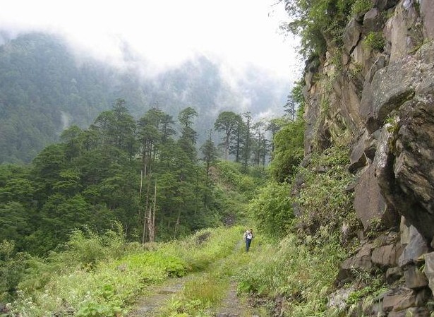 [樂(lè)山]大風(fēng)頂