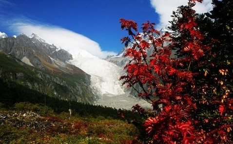 成都租車到山川賞紅葉泡溫泉