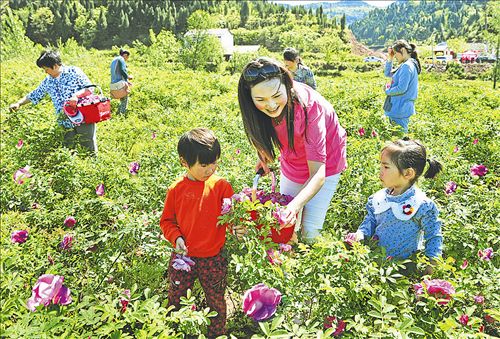 中國西充有機生活公園旅游攻略