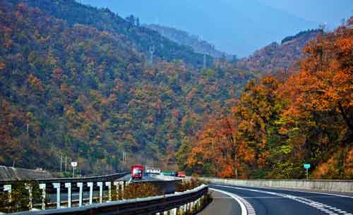 秋游正當(dāng)時！成都租車旅游選哪一條？